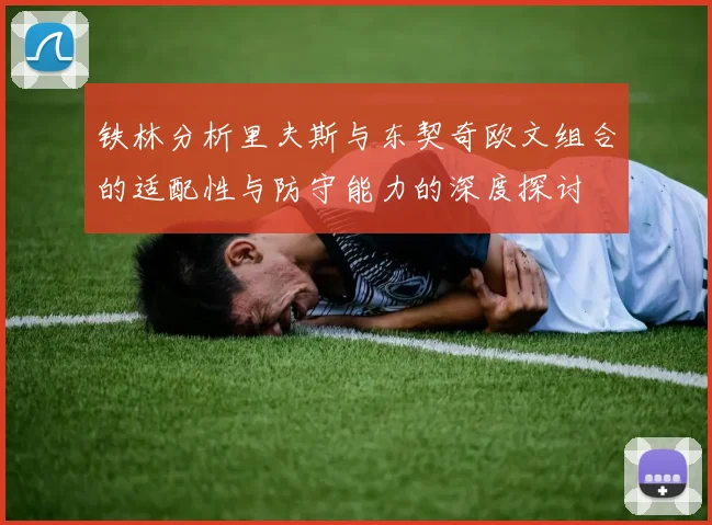 铁林分析里夫斯与东契奇欧文组合的适配性与防守能力的深度探讨