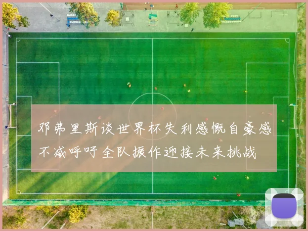 邓弗里斯谈世界杯失利感慨自豪感不减呼吁全队振作迎接未来挑战